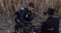 Missing Episode Image